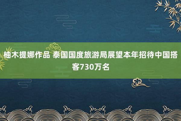 柚木提娜作品 泰国国度旅游局展望本年招待中国搭客730万名