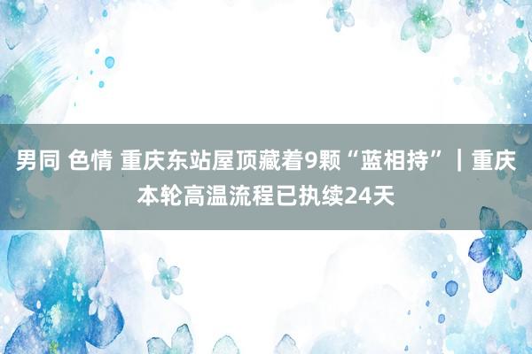 男同 色情 重庆东站屋顶藏着9颗“蓝相持”｜重庆本轮高温流程已执续24天