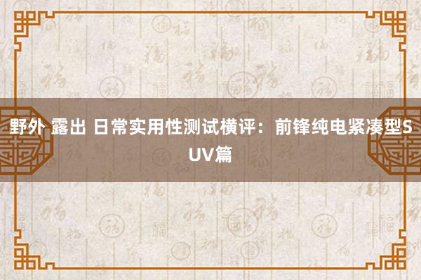 野外 露出 日常实用性测试横评：前锋纯电紧凑型SUV篇