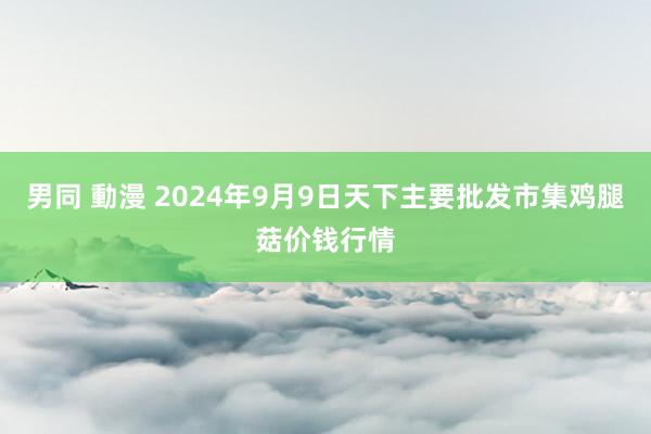 男同 動漫 2024年9月9日天下主要批发市集鸡腿菇价钱行情