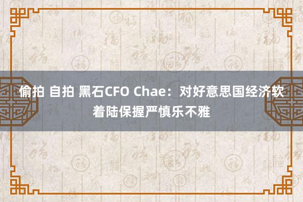 偷拍 自拍 黑石CFO Chae：对好意思国经济软着陆保握严慎乐不雅