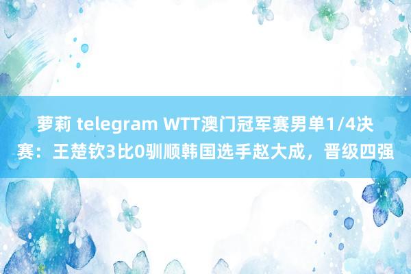 萝莉 telegram WTT澳门冠军赛男单1/4决赛：王楚钦3比0驯顺韩国选手赵大成，晋级四强