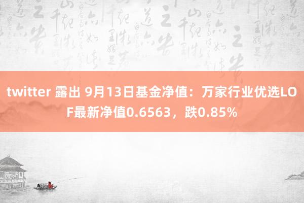 twitter 露出 9月13日基金净值：万家行业优选LOF最新净值0.6563，跌0.85%