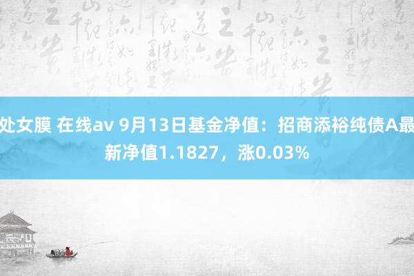 处女膜 在线av 9月13日基金净值：招商添裕纯债A最新净值1.1827，涨0.03%