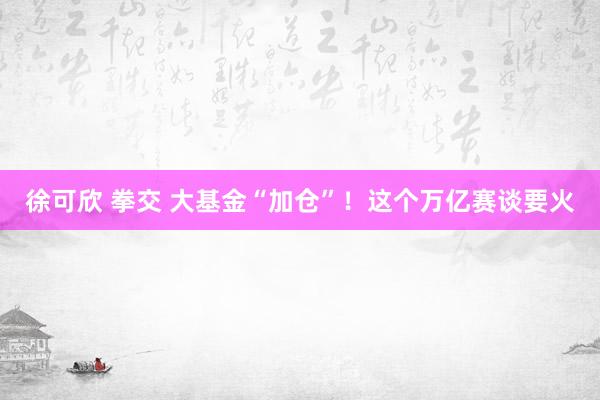 徐可欣 拳交 大基金“加仓”！这个万亿赛谈要火