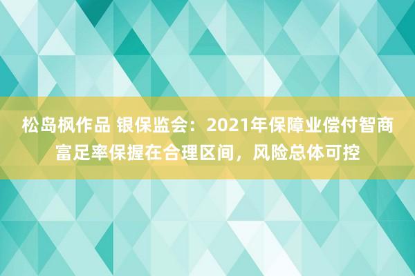 松岛枫作品 银保监会：2021年保障业偿付智商富足率保握在合理区间，风险总体可控