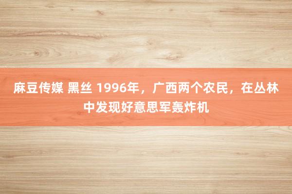 麻豆传媒 黑丝 1996年，广西两个农民，在丛林中发现好意思军轰炸机