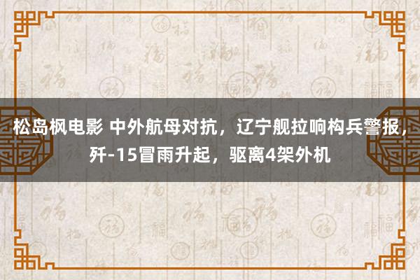 松岛枫电影 中外航母对抗，辽宁舰拉响构兵警报，歼-15冒雨升起，驱离4架外机