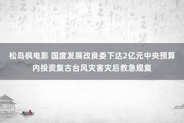 松岛枫电影 国度发展改良委下达2亿元中央预算内投资复古台风灾害灾后救急规复