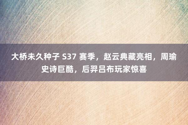 大桥未久种子 S37 赛季，赵云典藏亮相，周瑜史诗巨酷，后羿吕布玩家惊喜