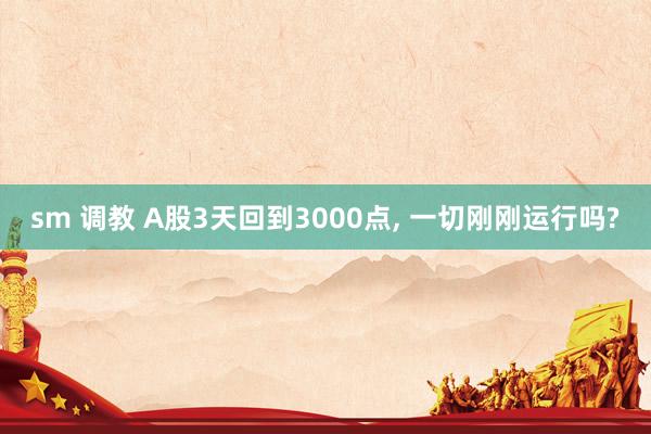 sm 调教 A股3天回到3000点， 一切刚刚运行吗?