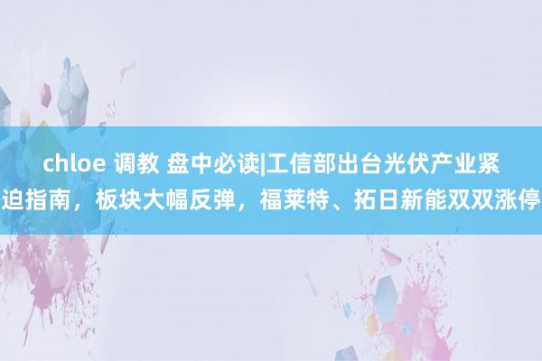 chloe 调教 盘中必读|工信部出台光伏产业紧迫指南，板块大幅反弹，福莱特、拓日新能双双涨停