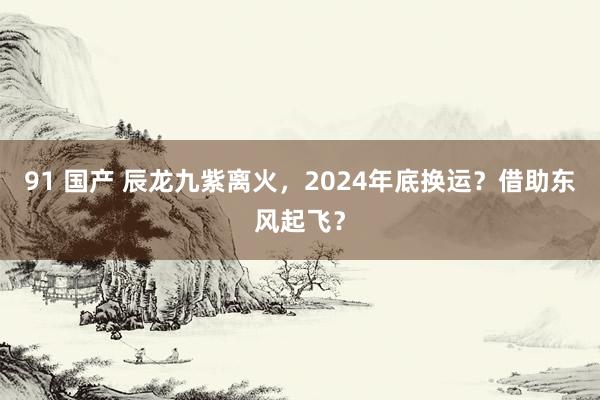 91 国产 辰龙九紫离火，2024年底换运？借助东风起飞？