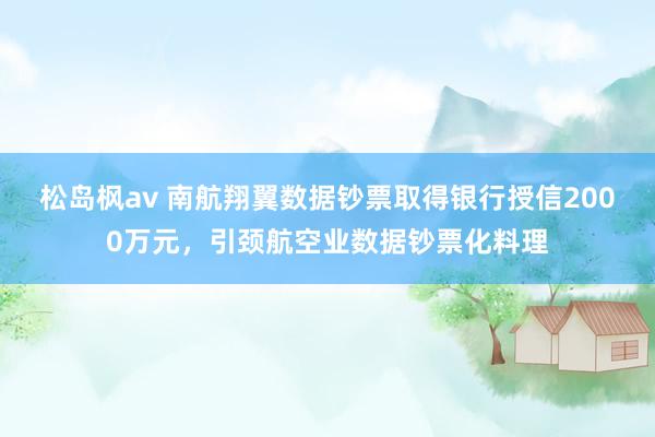 松岛枫av 南航翔翼数据钞票取得银行授信2000万元，引颈航空业数据钞票化料理