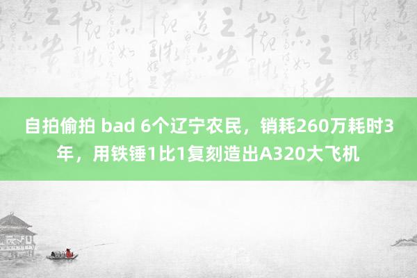 自拍偷拍 bad 6个辽宁农民，销耗260万耗时3年，用铁锤1比1复刻造出A320大飞机