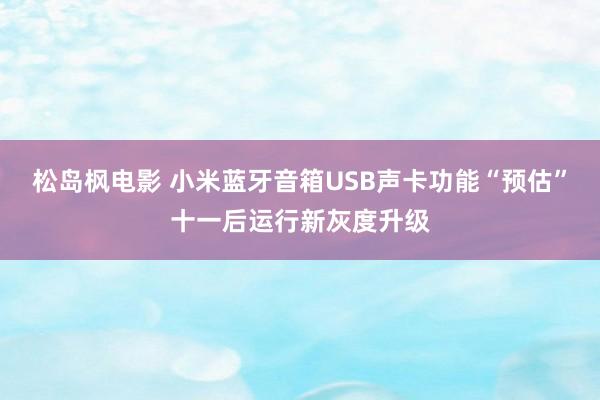 松岛枫电影 小米蓝牙音箱USB声卡功能“预估”十一后运行新灰度升级