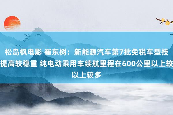 松岛枫电影 崔东树：新能源汽车第7批免税车型技艺提高较稳重 纯电动乘用车续航里程在600公里以上较多