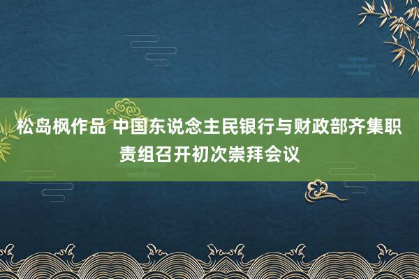 松岛枫作品 中国东说念主民银行与财政部齐集职责组召开初次崇拜会议