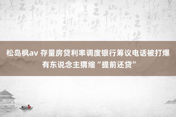 松岛枫av 存量房贷利率调度银行筹议电话被打爆 有东说念主猬缩“提前还贷”