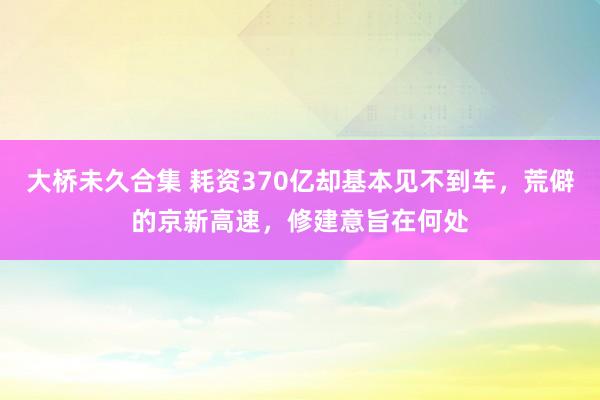 大桥未久合集 耗资370亿却基本见不到车，荒僻的京新高速，修建意旨在何处