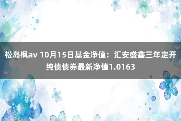 松岛枫av 10月15日基金净值：汇安盛鑫三年定开纯债债券最新净值1.0163