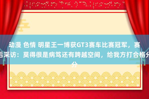 动漫 色情 明星王一博获GT3赛车比赛冠军，赛后采访：莫得很是病笃还有跨越空间，给我方打合格分