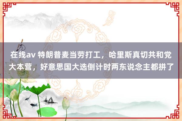 在线av 特朗普麦当劳打工，哈里斯真切共和党大本营，好意思国大选倒计时两东说念主都拼了