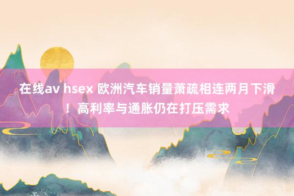 在线av hsex 欧洲汽车销量萧疏相连两月下滑！高利率与通胀仍在打压需求