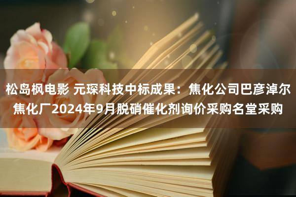 松岛枫电影 元琛科技中标成果：焦化公司巴彦淖尔焦化厂2024年9月脱硝催化剂询价采购名堂采购