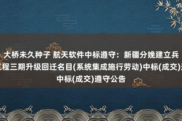 大桥未久种子 航天软件中标遵守：新疆分娩建立兵团金审工程三期升级回迁名目(系统集成施行劳动)中标(成交)遵守公告