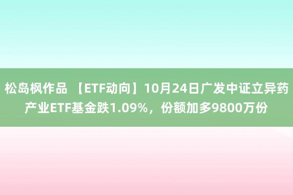 松岛枫作品 【ETF动向】10月24日广发中证立异药产业ETF基金跌1.09%，份额加多9800万份