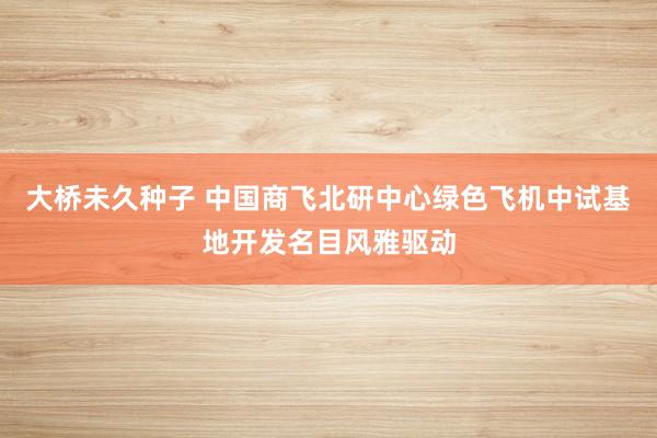 大桥未久种子 中国商飞北研中心绿色飞机中试基地开发名目风雅驱动