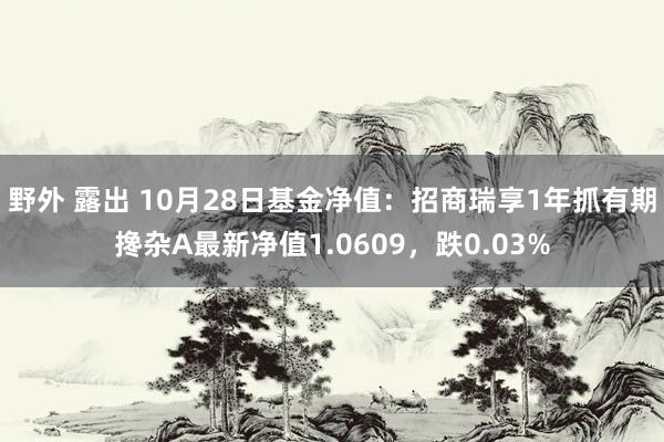 野外 露出 10月28日基金净值：招商瑞享1年抓有期搀杂A最新净值1.0609，跌0.03%