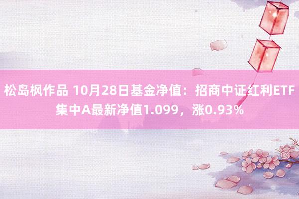 松岛枫作品 10月28日基金净值：招商中证红利ETF集中A最新净值1.099，涨0.93%