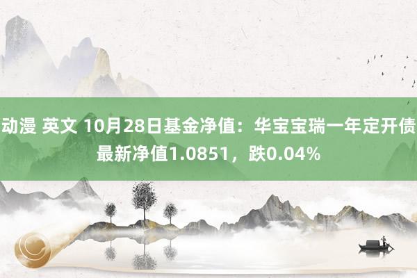 动漫 英文 10月28日基金净值：华宝宝瑞一年定开债最新净值1.0851，跌0.04%