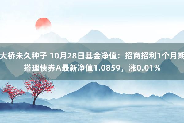 大桥未久种子 10月28日基金净值：招商招利1个月期搭理债券A最新净值1.0859，涨0.01%