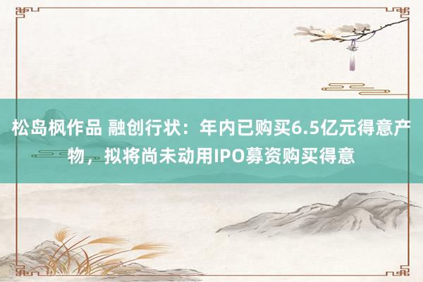 松岛枫作品 融创行状：年内已购买6.5亿元得意产物，拟将尚未动用IPO募资购买得意