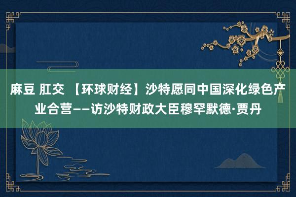 麻豆 肛交 【环球财经】沙特愿同中国深化绿色产业合营——访沙特财政大臣穆罕默德·贾丹