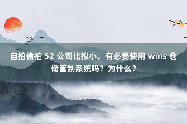 自拍偷拍 52 公司比拟小，有必要使用 wms 仓储管制系统吗？为什么？