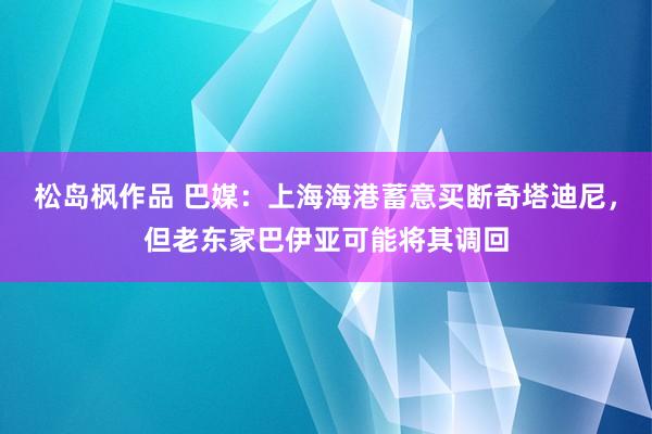 松岛枫作品 巴媒：上海海港蓄意买断奇塔迪尼，但老东家巴伊亚可能将其调回