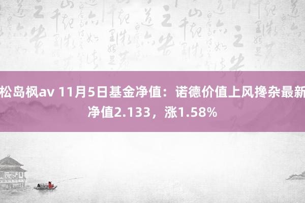 松岛枫av 11月5日基金净值：诺德价值上风搀杂最新净值2.133，涨1.58%