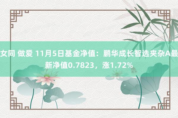 女同 做爱 11月5日基金净值：鹏华成长智选夹杂A最新净值0.7823，涨1.72%