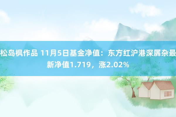 松岛枫作品 11月5日基金净值：东方红沪港深羼杂最新净值1.719，涨2.02%