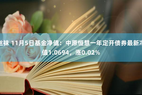 丝袜 11月5日基金净值：中原恒慧一年定开债券最新净值1.0694，涨0.02%