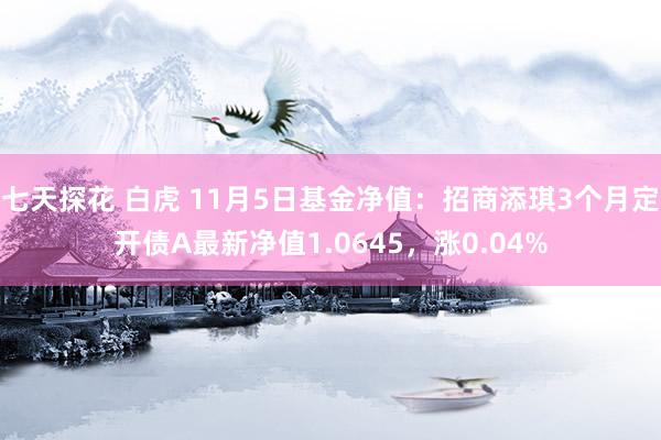 七天探花 白虎 11月5日基金净值：招商添琪3个月定开债A最新净值1.0645，涨0.04%