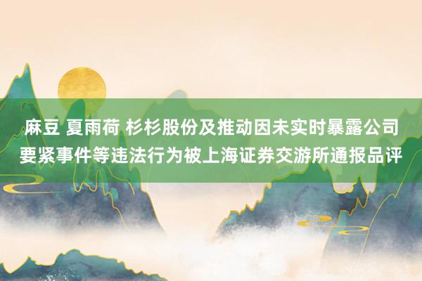 麻豆 夏雨荷 杉杉股份及推动因未实时暴露公司要紧事件等违法行为被上海证券交游所通报品评