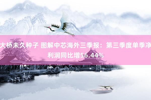 大桥未久种子 图解中芯海外三季报：第三季度单季净利润同比增56.44%