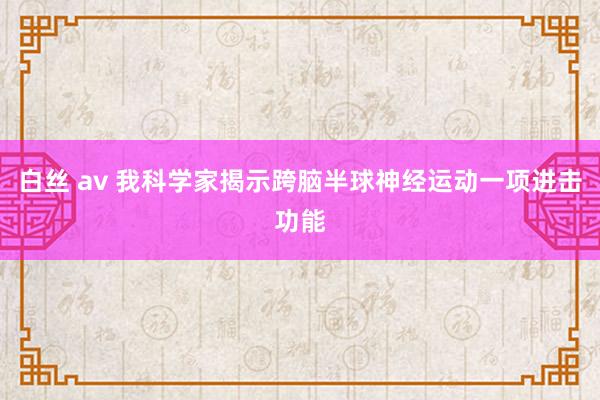 白丝 av 我科学家揭示跨脑半球神经运动一项进击功能