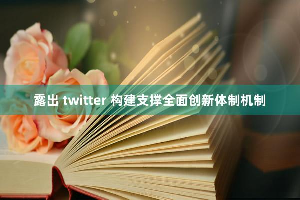 露出 twitter 构建支撑全面创新体制机制