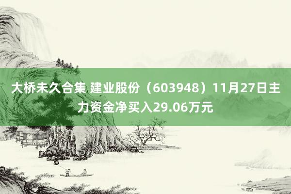 大桥未久合集 建业股份（603948）11月27日主力资金净买入29.06万元